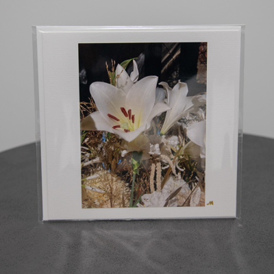 fotografie_monarte_karten_23_006