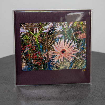 fotografie_monarte_karten_23_008