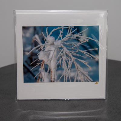 fotografie_monarte_karten_23_010