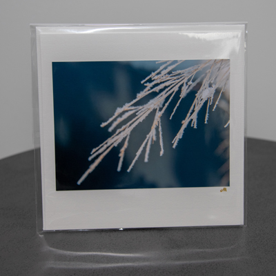 fotografie_monarte_karten_23_011