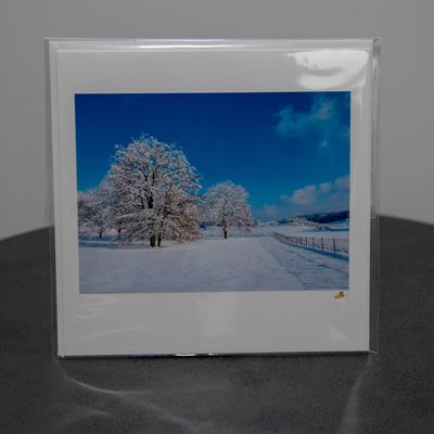fotografie_monarte_karten_23_012
